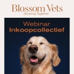 Zoom: Blossom Vets - Growing Together