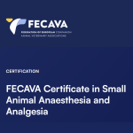 FECAVA lanceert certificate in small animal anaesthesia and analgesia