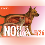 IBD - low grade lymphoma dilemma in cats: extensive biopsies, similar treatments